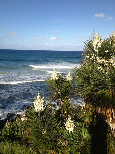 Oceania On Burleigh Beach - Accommodation Mount Tamborine 23