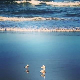 Oceania On Burleigh Beach - Accommodation Mount Tamborine 40