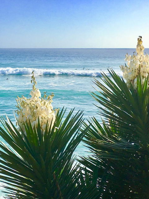 Oceania On Burleigh Beach - Accommodation Mount Tamborine 21