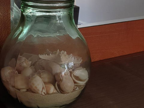 Oceania On Burleigh Beach - Accommodation Mount Tamborine 30