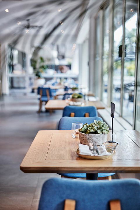 Novotel Cairns Oasis Resort - Accommodation Mount Tamborine 19