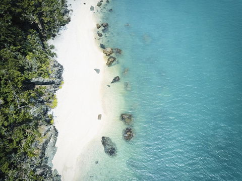 Daydream Island Resort - Accommodation Mount Tamborine 41