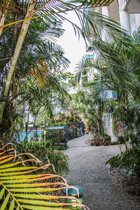 Surfers Beach Holiday Apartments - Accommodation Mount Tamborine 11