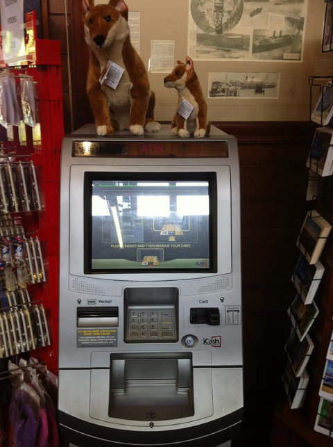 Fraser Island Retreat - Accommodation Mount Tamborine 33