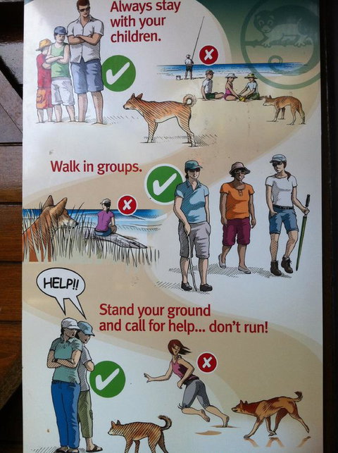 Fraser Island Retreat - Accommodation Mount Tamborine 31