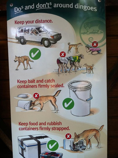 Fraser Island Retreat - Accommodation Mount Tamborine 32