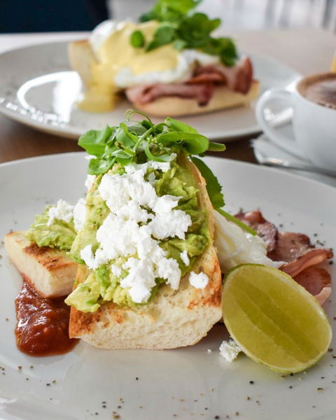 Belise Apartments - Accommodation Mount Tamborine 27