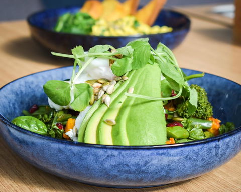 Belise Apartments - Accommodation Mount Tamborine 25