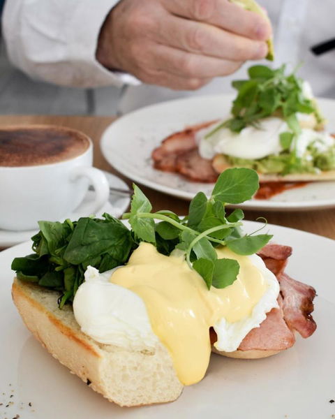 Belise Apartments - Accommodation Mount Tamborine 28