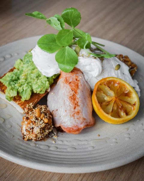 Belise Apartments - Accommodation Mount Tamborine 29