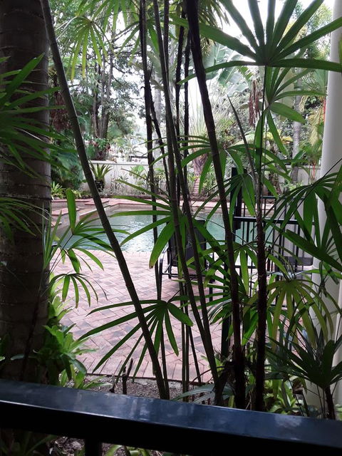 Jackies Holiday Apartment - Accommodation Mount Tamborine 13