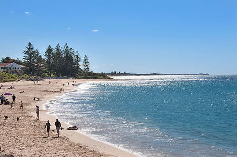 The Norfolks On Moffat Beach - Accommodation Mount Tamborine 0