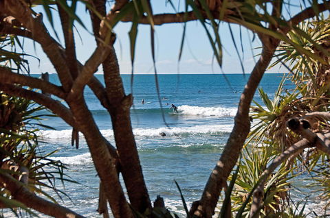 The Norfolks On Moffat Beach - Accommodation Mount Tamborine 7