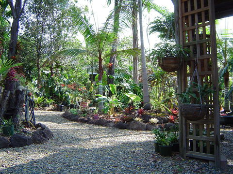 Forest Lodge: Little Villa - Accommodation Mount Tamborine 16