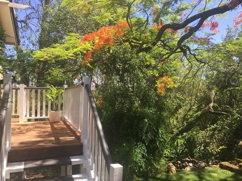 Halcyon On Bardon - Accommodation Mount Tamborine 7