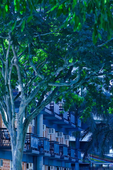 Soho Brisbane - Accommodation Mount Tamborine 12