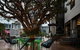 Rydges Fortitude Valley - thumb 21
