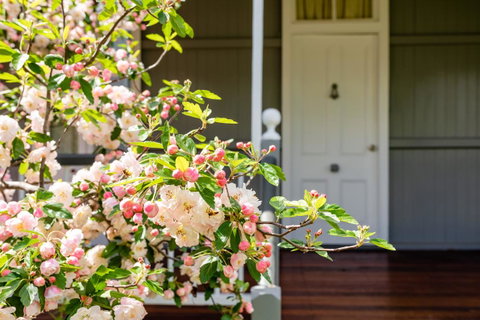 Apple Blossom Cottages - Accommodation Mount Tamborine 2
