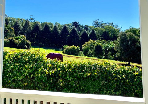 Hampton Estate Wines - Accommodation Mount Tamborine 11