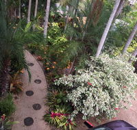 Casuarina - Accommodation Mount Tamborine