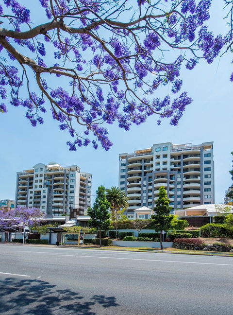 The Oasis Apartments - Accommodation Mount Tamborine 2