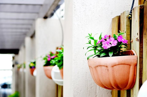 Spring Hill Mews Apartments - Accommodation Mount Tamborine 12