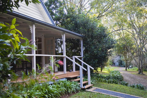 Curtis Falls Cottage - Accommodation Mount Tamborine 15