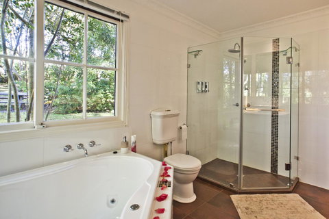 Curtis Falls Cottage - Accommodation Mount Tamborine 4