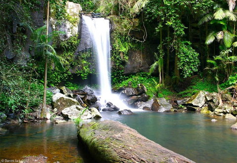 Curtis Falls Cottage - Accommodation Mount Tamborine 22
