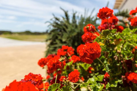 Wytonia Beachfront Accommodation - Accommodation Mount Tamborine 3