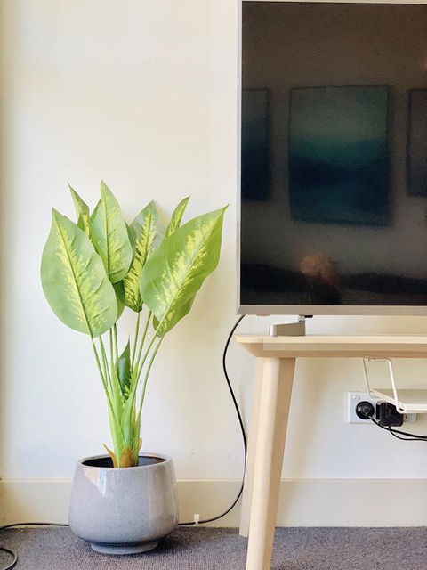 ZEN Homes On Collins - Accommodation Mount Tamborine 3