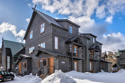 Zoncolan - Accommodation Mount Tamborine 2