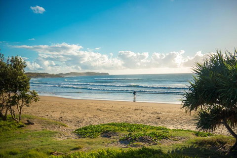 ArtHOUSE Beachfront Accommodation - Accommodation Mount Tamborine 1