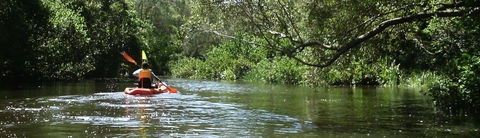 Absolute Waterfront - Accommodation Mount Tamborine 33