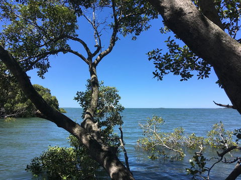 Absolute Waterfront - Accommodation Mount Tamborine 16