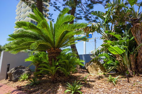 Carrington Court - Accommodation Mount Tamborine 37