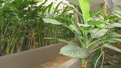 Edge Apartments Cairns - Accommodation Mount Tamborine 39