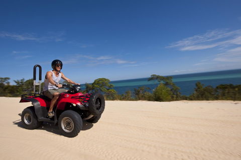 Tangalooma Island Resort - Accommodation Mount Tamborine 12