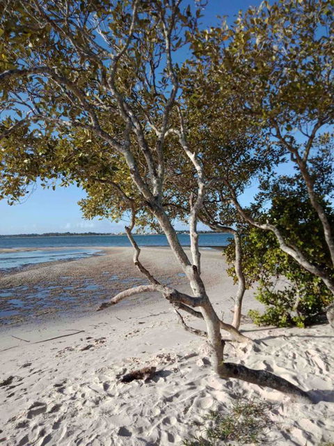 Modern Beach Villa - Accommodation Mount Tamborine 15