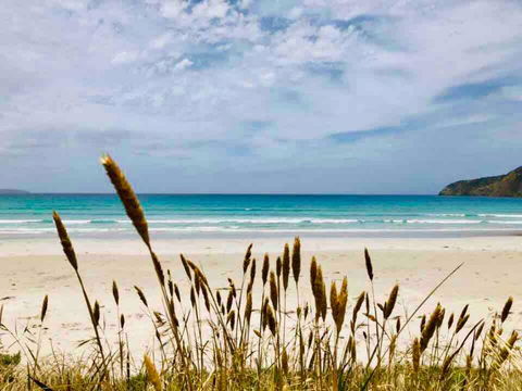 Modern Beach Villa - Accommodation Mount Tamborine 14