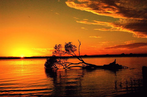 Pet Friendly Cottage In The Heart Of Bribie - Wirraway St, Bongaree - Accommodation Mount Tamborine 8