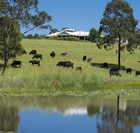 'Talumberi' 221 Trapyard Road - Accommodation Mount Tamborine