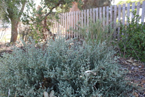 12 Apostles Cottages - Accommodation Mount Tamborine 2