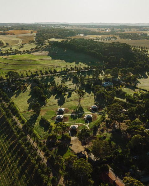 CANVS By CABN Seppeltsfield Barossa - Accommodation Mount Tamborine 1