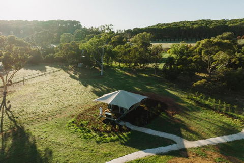 CANVS By CABN Seppeltsfield Barossa - Accommodation Mount Tamborine 0