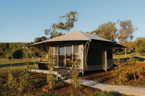 CANVS By CABN Seppeltsfield Barossa - Accommodation Mount Tamborine 3