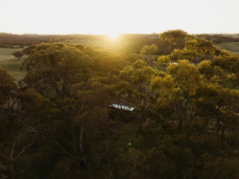 CABN Clare Valley - Accommodation Mount Tamborine 4