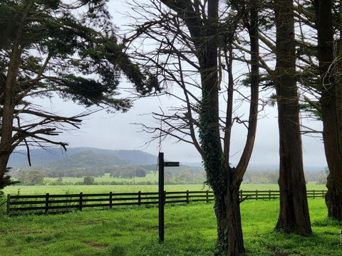 Deepfields Romsey Cottages - Accommodation Mount Tamborine 4