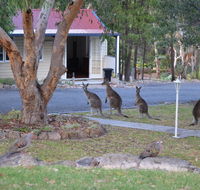 31 The Rocks - Accommodation Mount Tamborine