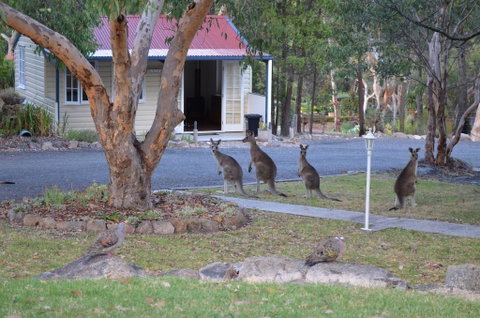 31 The Rocks - Accommodation Mount Tamborine 0